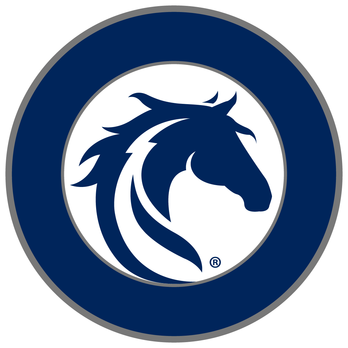 Ponyclubs